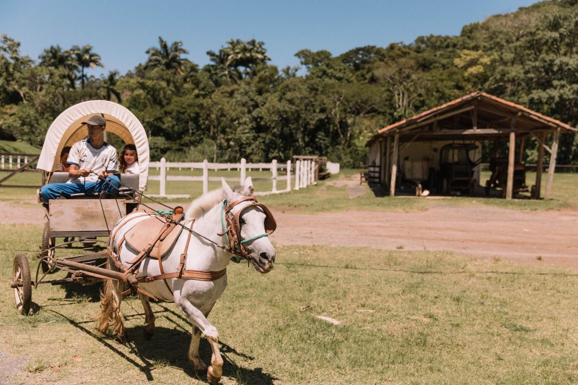 Resort Fazenda 3 Pinheiros Engenheiro Passos Buitenkant foto